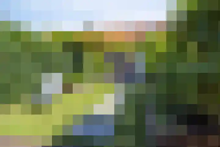 Fokkerlaan 54 Amstelveen thumbnail 32