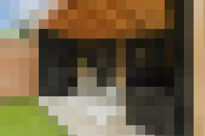 Fokkerlaan 55 Amstelveen thumbnail 12