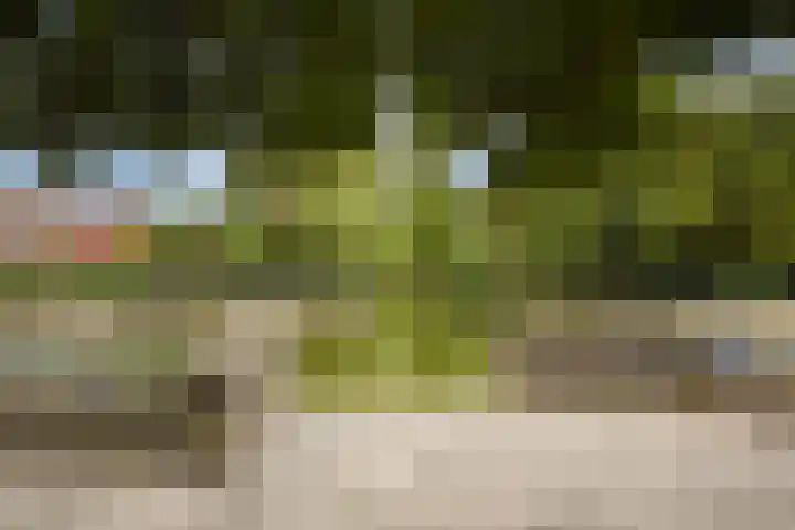 Fokkerlaan 55 Amstelveen thumbnail 31
