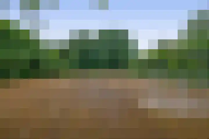 Fokkershoek 29 Heeswijk-Dinther thumbnail 40