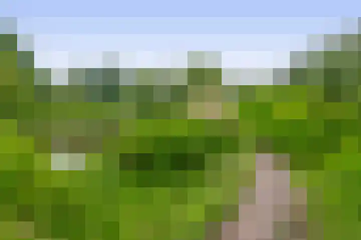 Fokkershoek 29 Heeswijk-Dinther thumbnail 43