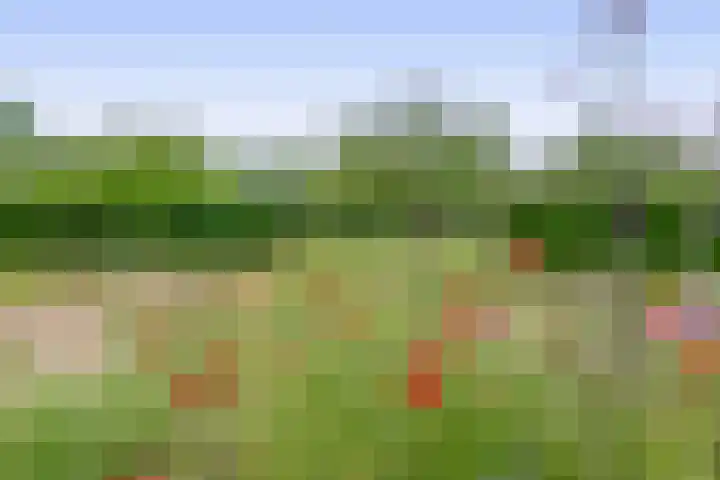 Fokkershoek 29 Heeswijk-Dinther thumbnail 45