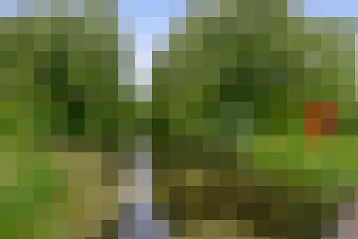Fokkershoek 29 Heeswijk-Dinther thumbnail 46