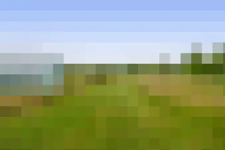Fokkershoek 29 Heeswijk-Dinther thumbnail 47