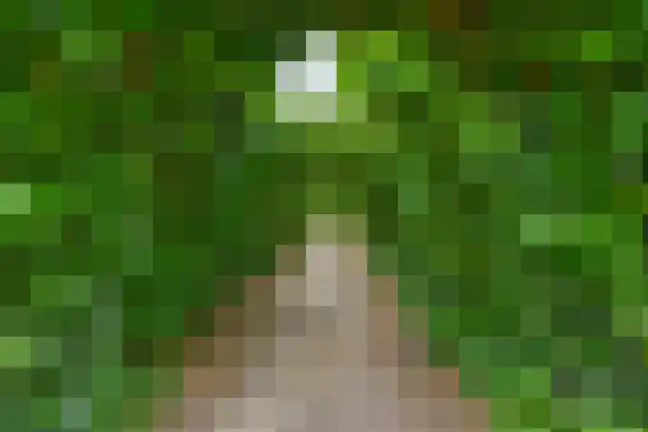 Fokkershoek 29 Heeswijk-Dinther thumbnail 50