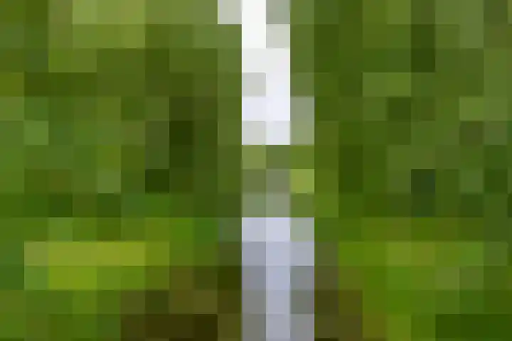 Fokkershoek 29 Heeswijk-Dinther thumbnail 51