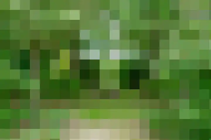 Fokkershoek 29 Heeswijk-Dinther thumbnail 52