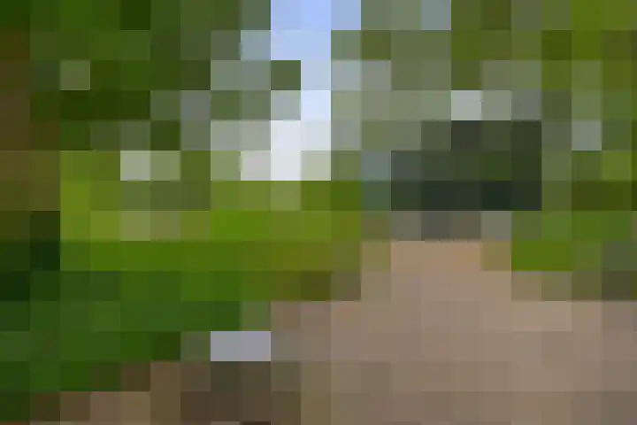 Fokkershoek 29 Heeswijk-Dinther thumbnail 55