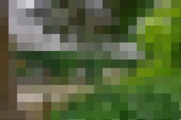 Fokkershoek 29 Heeswijk-Dinther thumbnail 6