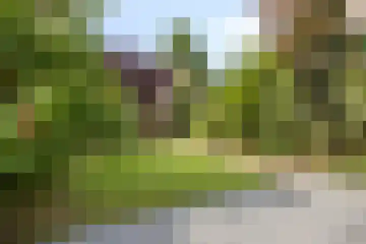 Fokkerstraat 14 Roermond thumbnail 29