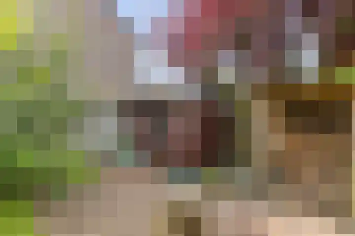 Fokkerstraat 14 Roermond thumbnail 32