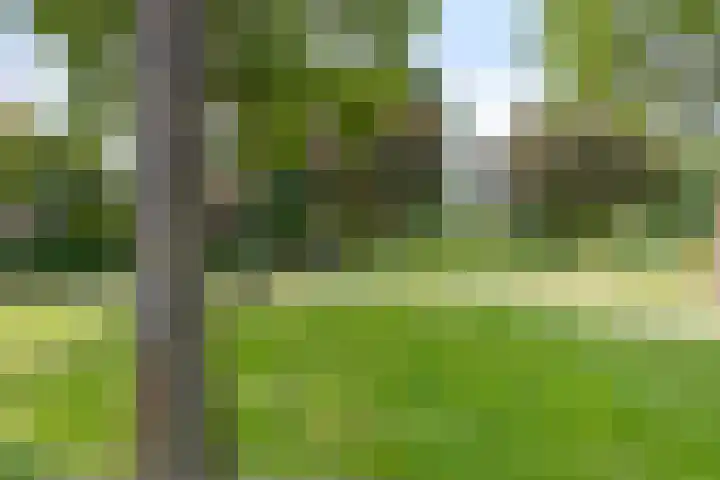 Fokkerstraat 14 Roermond thumbnail 37