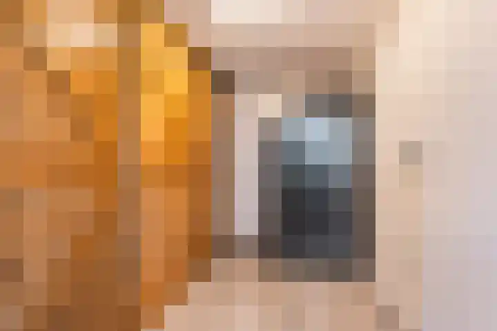 Fokkerstraat 30 Markelo thumbnail 16