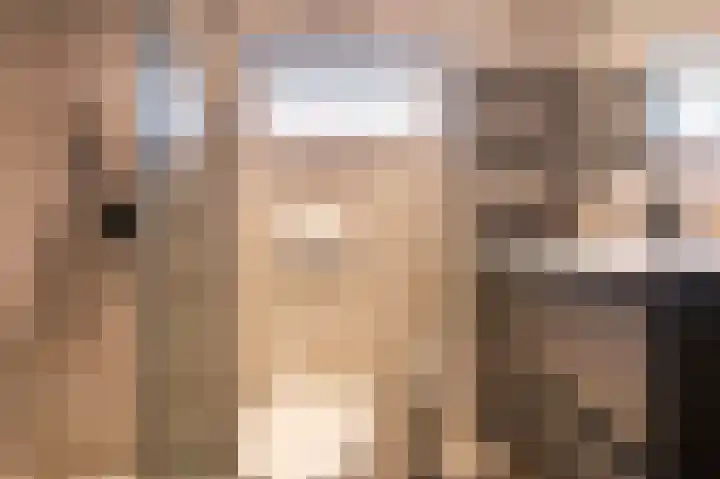 Fokkerstraat 30 Markelo thumbnail 22