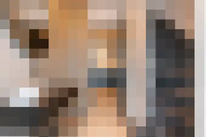 Fokkerstraat 30 Markelo thumbnail 6