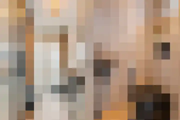 Fokkerstraat 30 Markelo thumbnail 7
