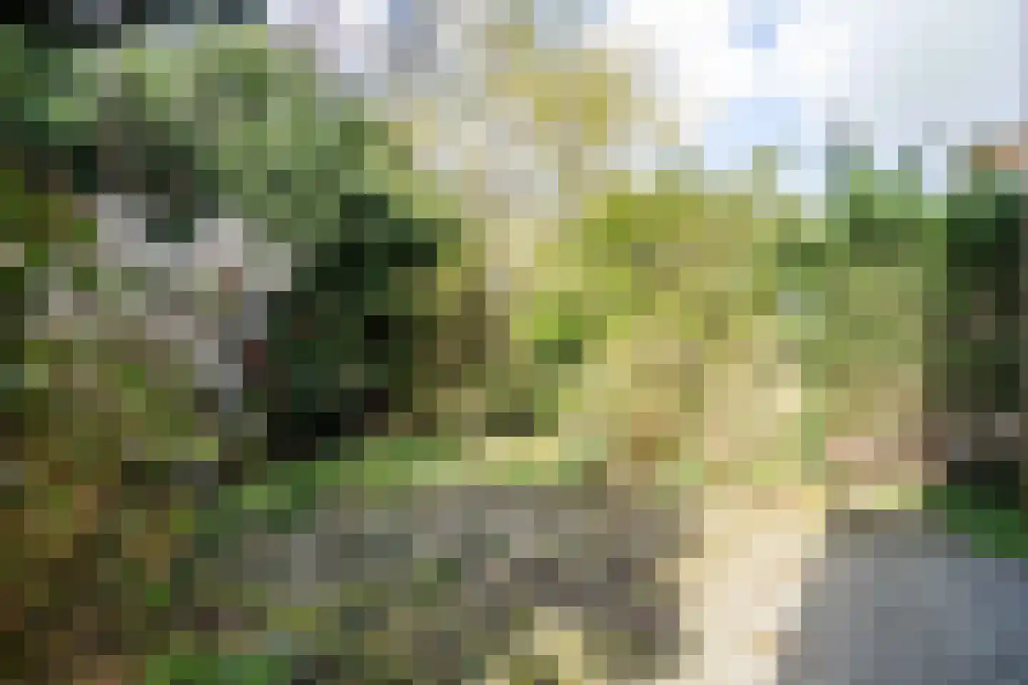 Fokkerstraat 52 Zoetermeer thumbnail 10