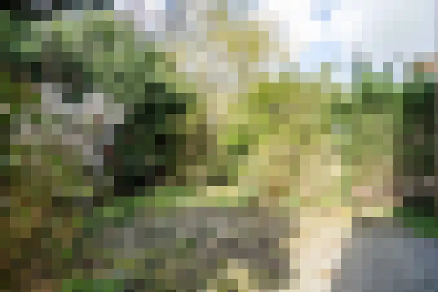 Fokkerstraat 52 Zoetermeer thumbnail 10