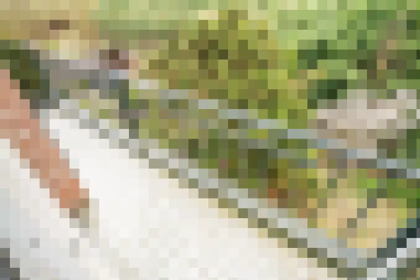 Fokkerstraat 52 Zoetermeer thumbnail 30