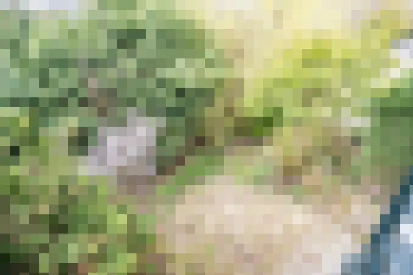 Fokkerstraat 52 Zoetermeer thumbnail 31
