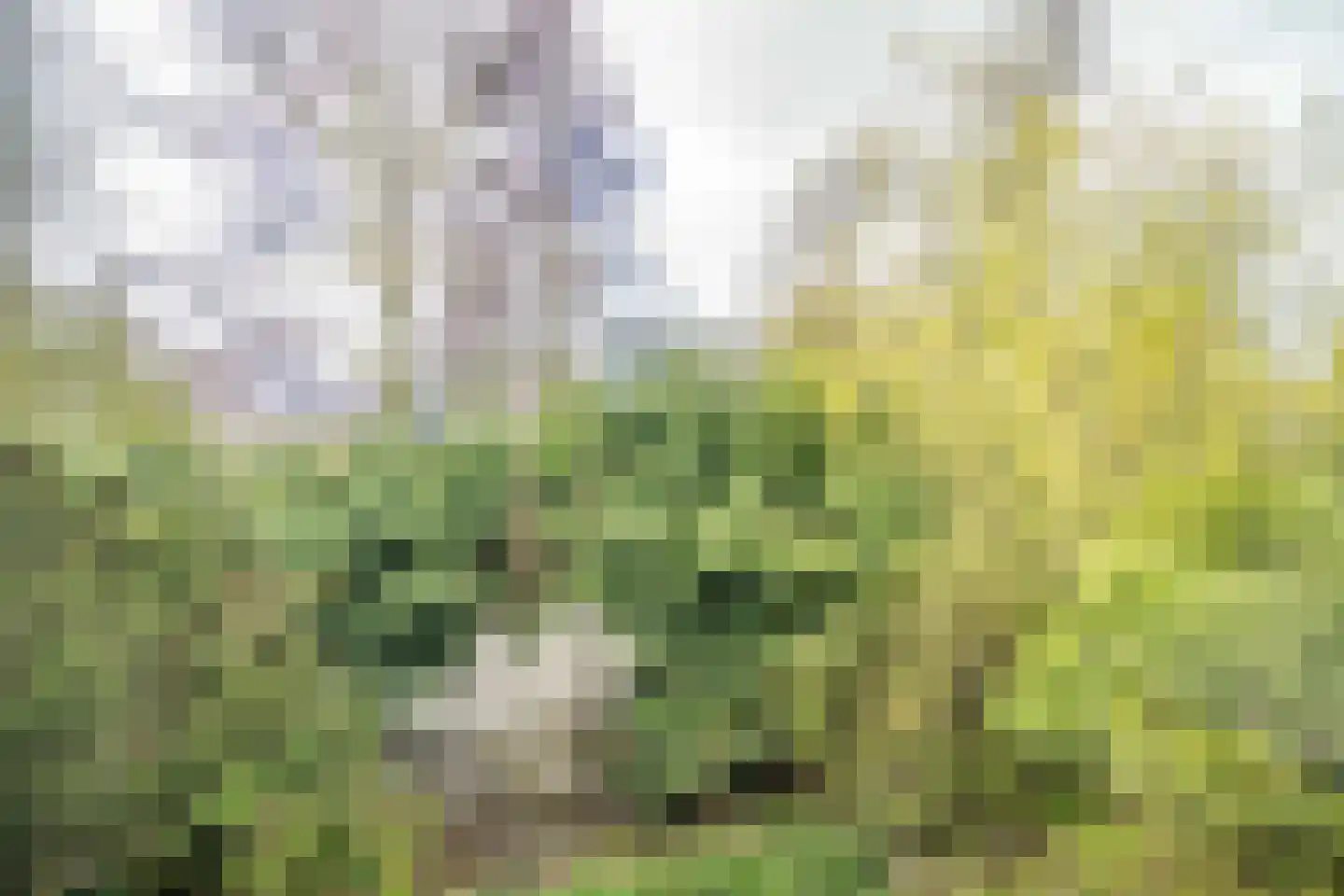 Fokkerstraat 52 Zoetermeer thumbnail 36