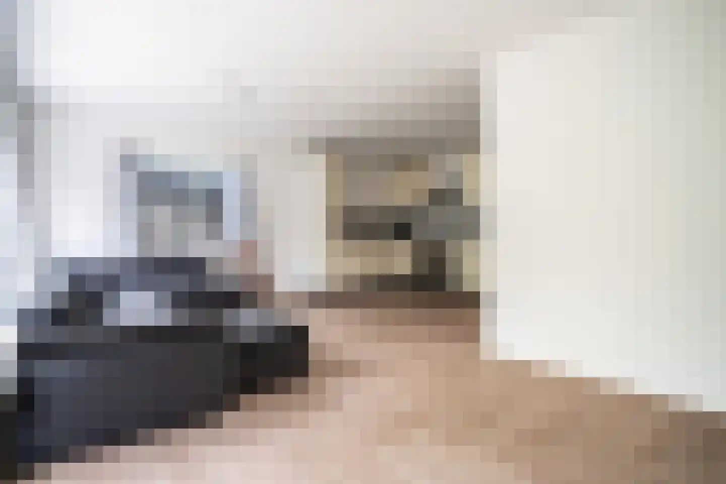 Fokkerstraat 52 Zoetermeer thumbnail 4