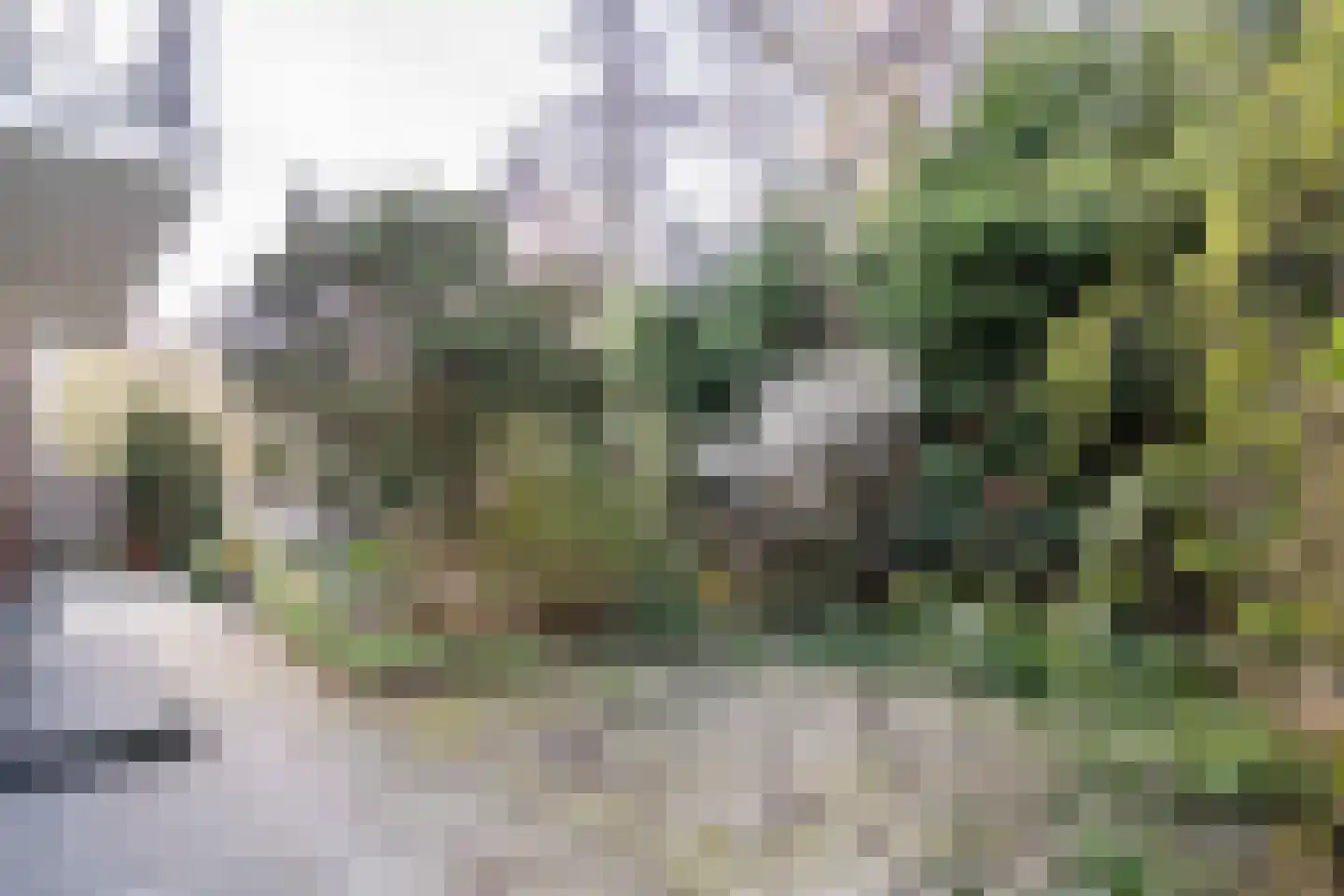 Fokkerstraat 52 Zoetermeer thumbnail 8