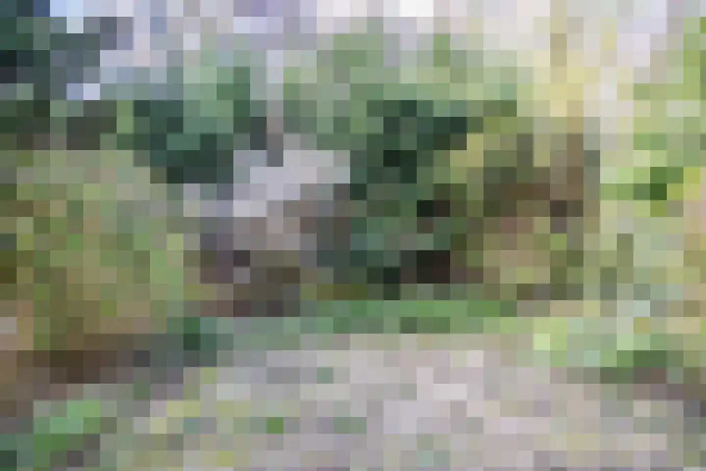 Fokkerstraat 52 Zoetermeer thumbnail 9