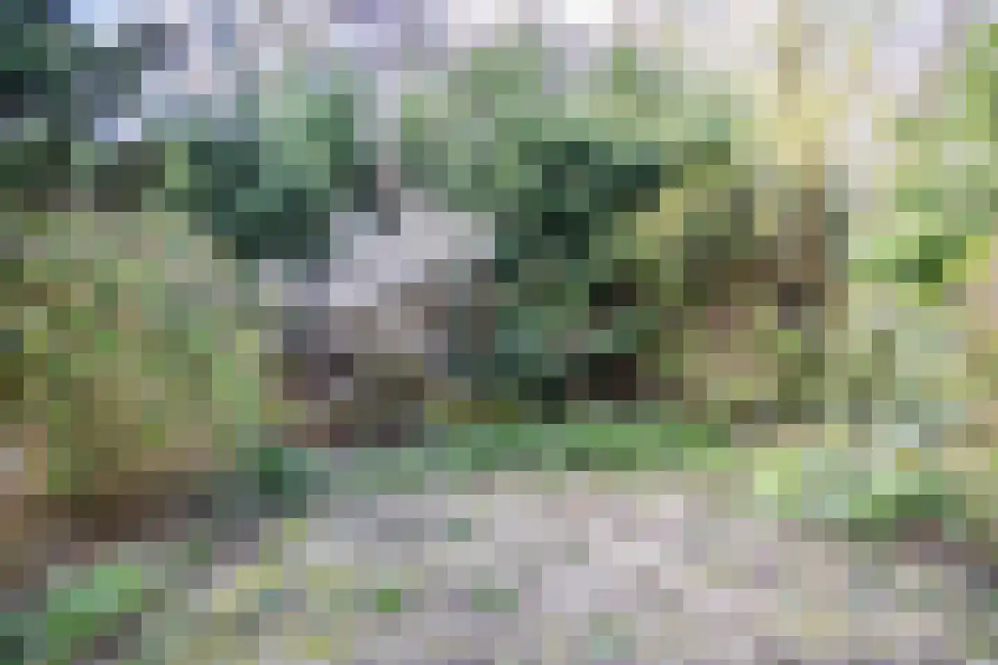 Fokkerstraat 52 Zoetermeer thumbnail 9