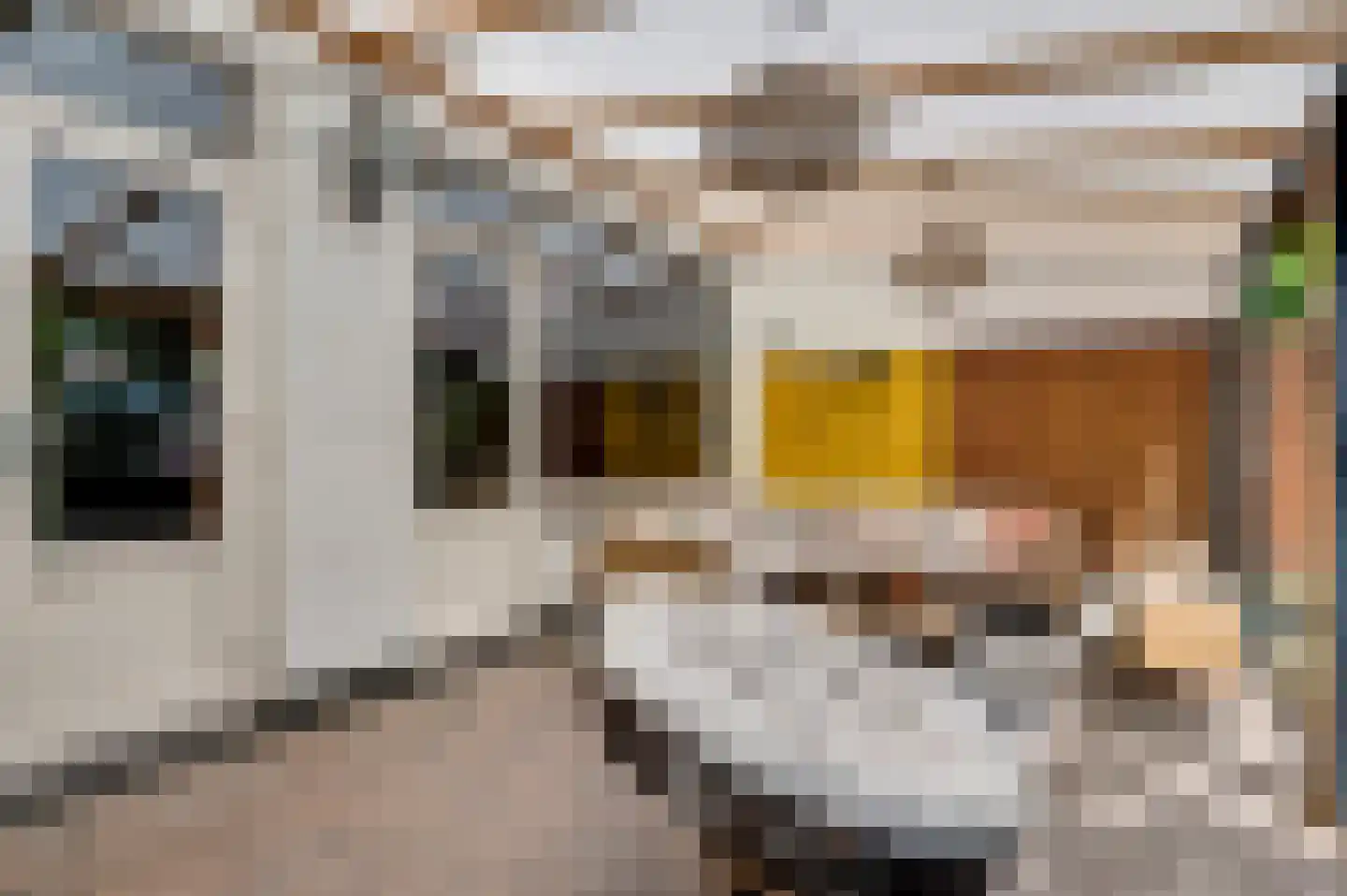 Fokkerstraat 62 Roermond thumbnail 24