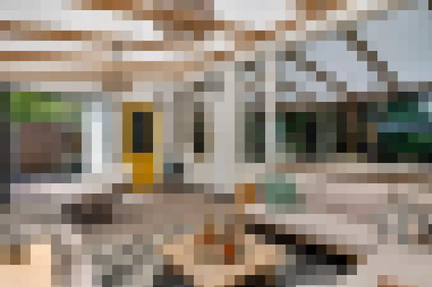Fokkerstraat 62 Roermond thumbnail 25