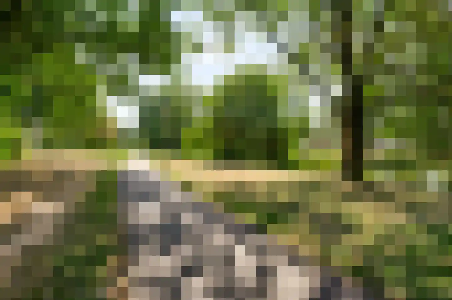 Fokkerstraat 62 Roermond thumbnail 31