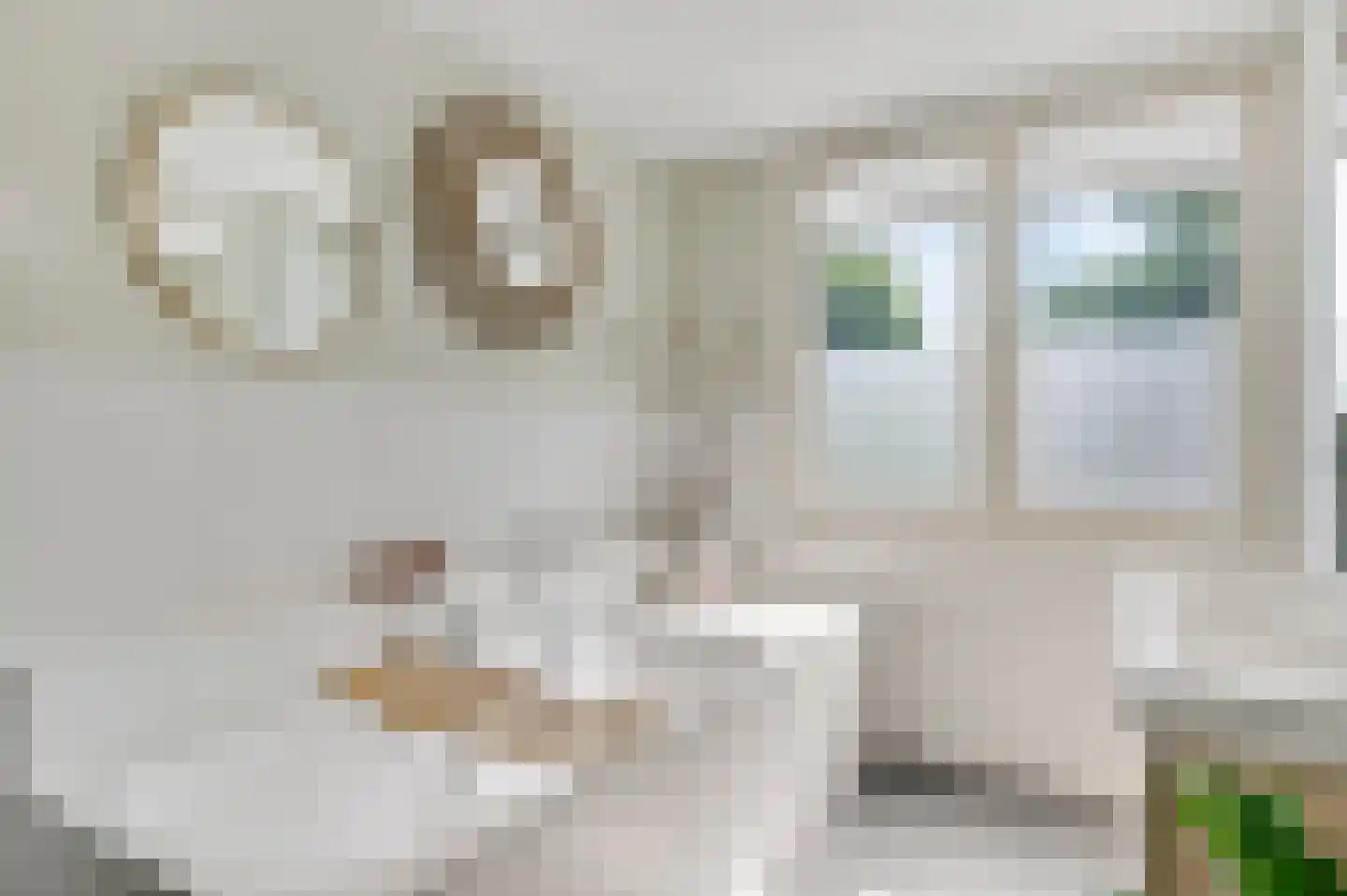 Fokkerstraat 62 Roermond thumbnail 36