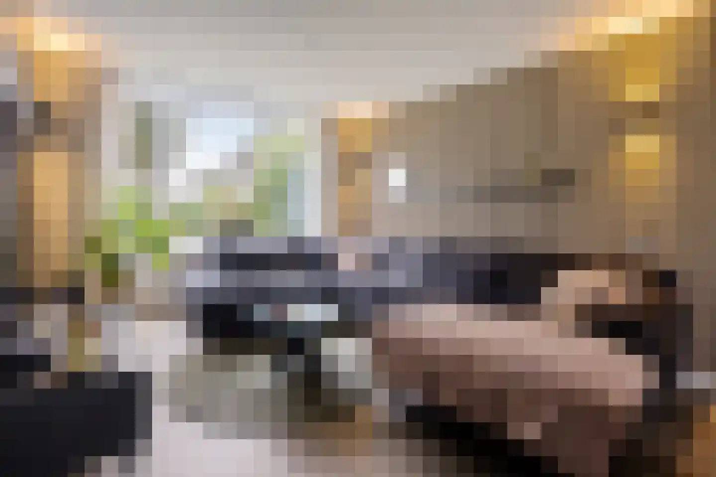 Fokkerstraat 7 Soesterberg thumbnail 12