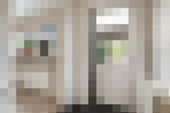 Fokkerstraat 93 Markelo thumbnail 20