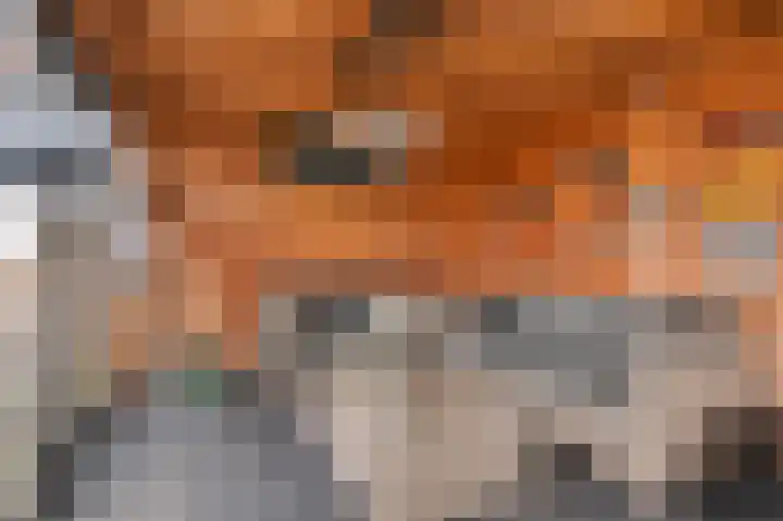 Fokkerstraat 93 Markelo thumbnail 30