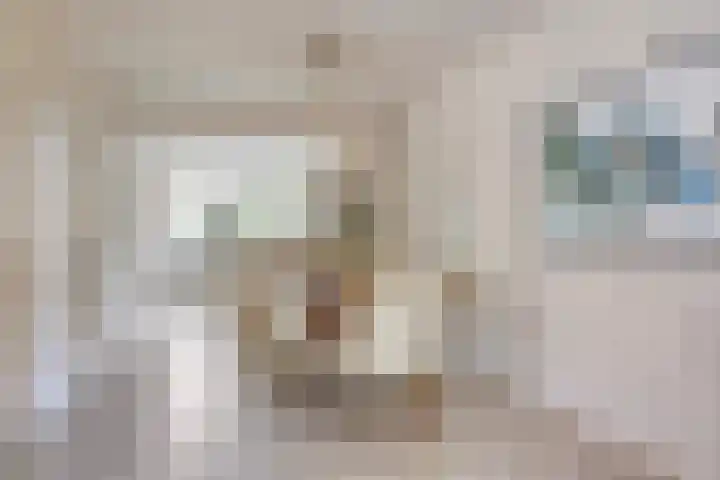Fokkeschoot 2 Veenendaal thumbnail 13