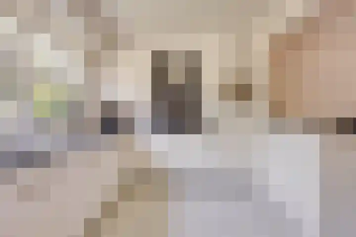 Fokkeschoot 2 Veenendaal thumbnail 14