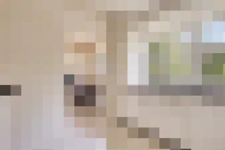 Fokkeschoot 2 Veenendaal thumbnail 15