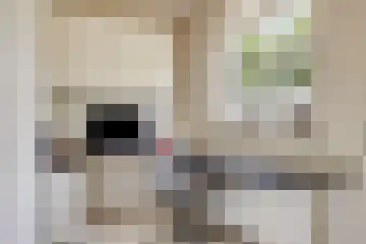 Fokkeschoot 2 Veenendaal thumbnail 16