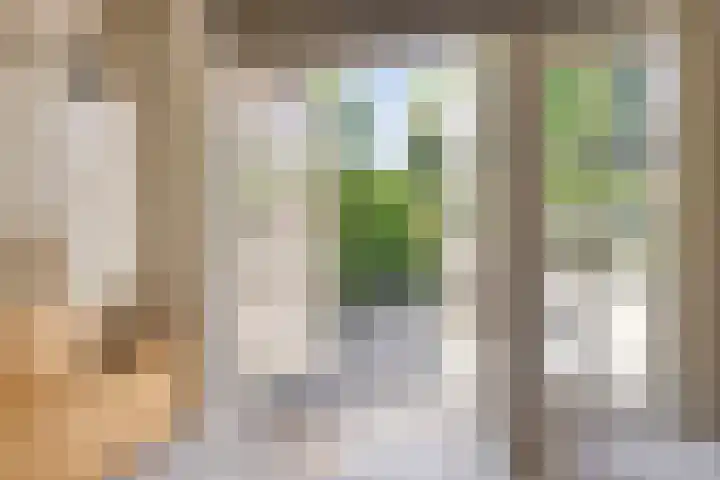 Fokkeschoot 2 Veenendaal thumbnail 18
