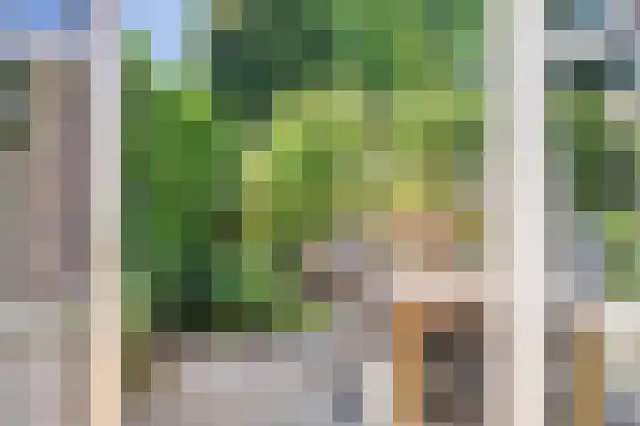 Fokkeschoot 2 Veenendaal thumbnail 19
