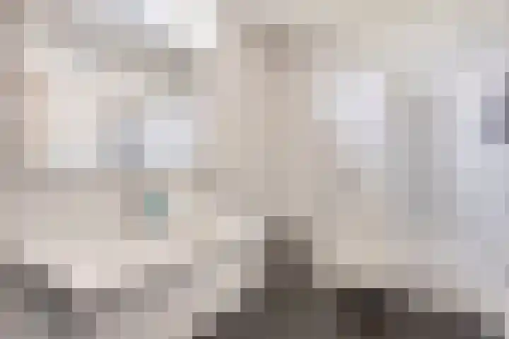 Fokkeschoot 2 Veenendaal thumbnail 25