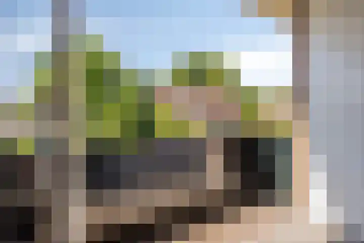 Fokkeschoot 2 Veenendaal thumbnail 29