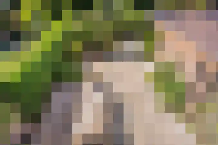 Fokkeschoot 2 Veenendaal thumbnail 30