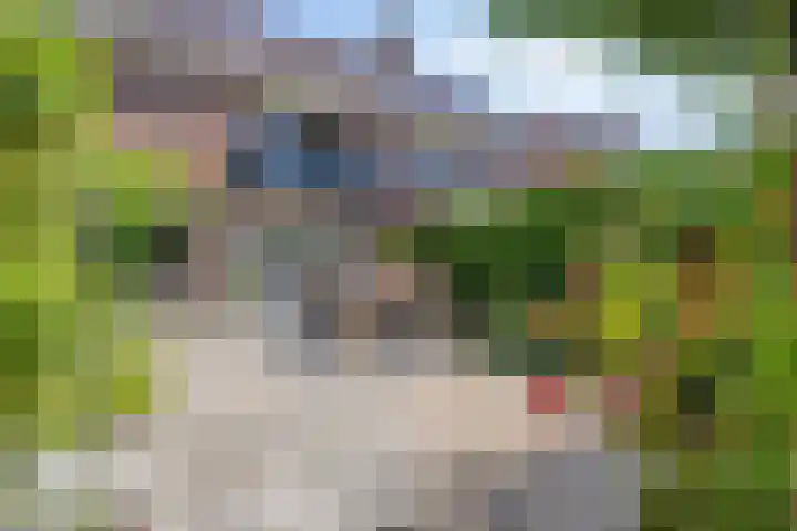 Fokkeschoot 2 Veenendaal thumbnail 39