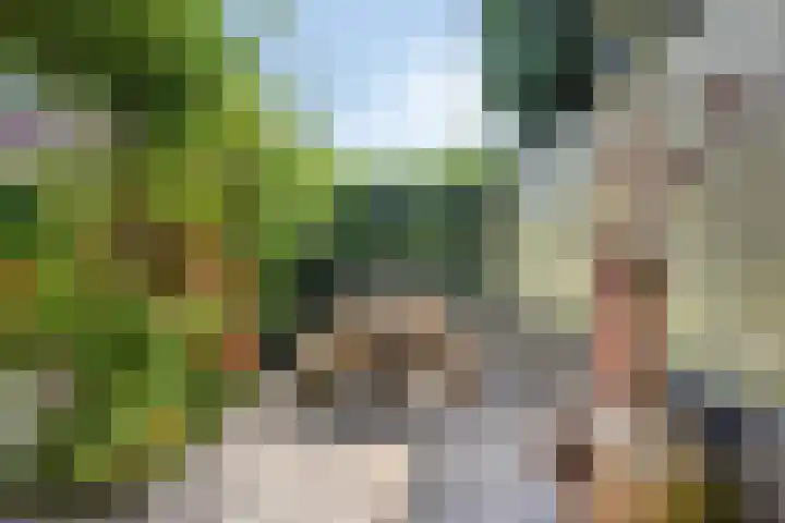 Fokkeschoot 2 Veenendaal thumbnail 41