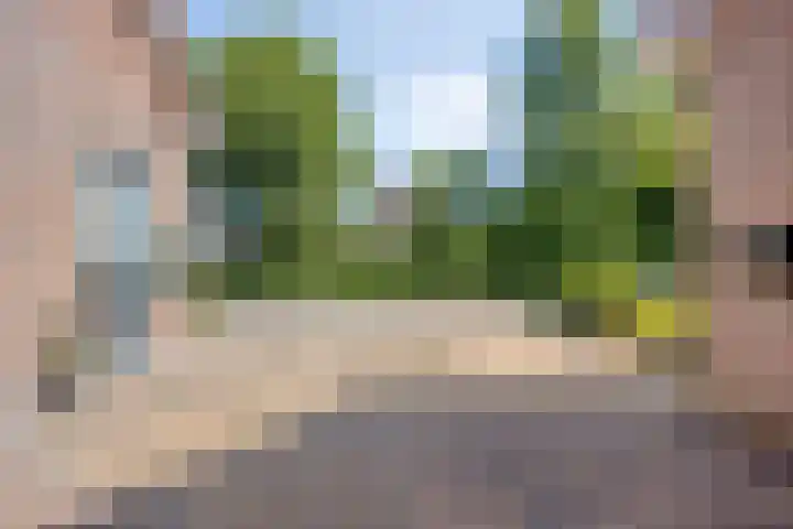 Fokkeschoot 2 Veenendaal thumbnail 43
