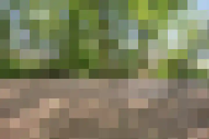 Fokkeschoot 2 Veenendaal thumbnail 49