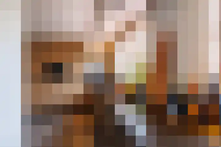 Fokkeschoot 8 Veenendaal thumbnail 14